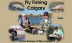 Fly Fishing Calgary - In the Shadow of Skyscrapers. A brown trout fishing guide whose float trips on the Bow River are second to none with many amenities that are unique to Bow River Hookers, the boats with the bent rods.