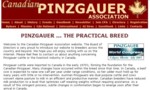 Pinzgauer cattle from Canada have been exported to almost every continent on the globe.