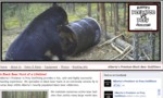 Alberta's Predator vs Prety specializes in black bear hunts in an extremely remote fly-in camp deep within Alberta’s heavily populated black bear wilderness.