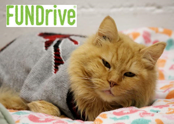 FUNDrive® is an eco-friendly fundraiser for nonprofit organizations. The Wild Rose Humane Society is collecting gently-used items so that FUNDrive® will buy them.